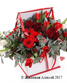 ����� ���� ������� � ������� �������