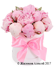 ����� �� ������ 15 ������������ � ������� �������