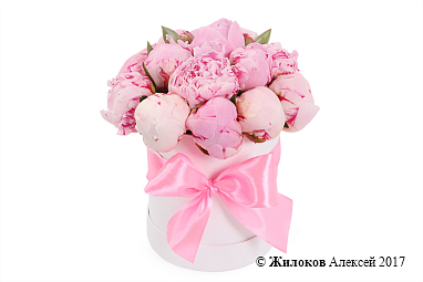 ����� �� ������ 15 ������������ � ������� �������