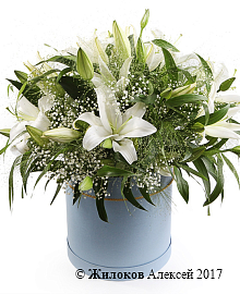 ����� � ������� �������� � ������� �������