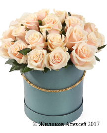 Букет 25 роз Талея в шляпной коробке