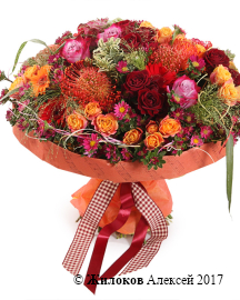 ����� ������� �����������