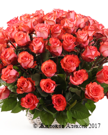 ����� 101 ���� ������ � �������