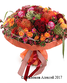 ����� ������� �����������