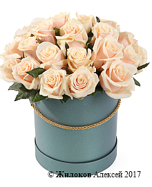 ����� 25 ��� ����� � ������� �������