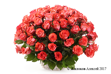 ����� 101 ���� ������ � �������