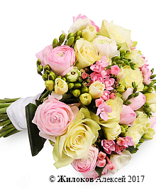 ����� ������� �����