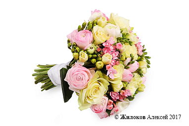 ����� ������� �����