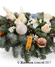 ���������� ������ ���� � �����