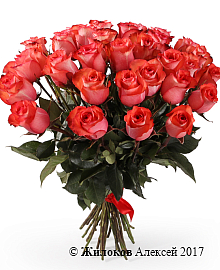 ����� 35 ��� ������, ����������