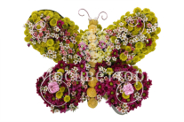 ���������� ������� ������