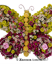 ���������� ������� ������