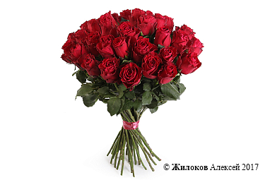 ����� 35 ��� �����