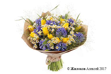 ����� ������� ���