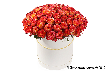 ����� 101 ���� ��� ������ � ������� �������