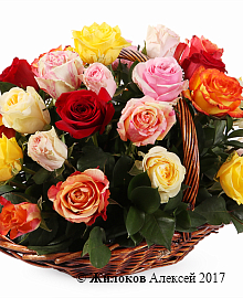 ����� ����������� ������� (35 ���) � �������