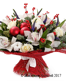 ����� �������