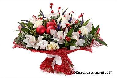 ����� �������