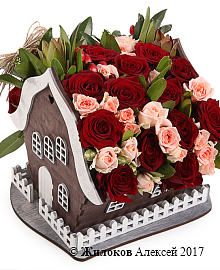 ����� ���� ����� ���� � �����