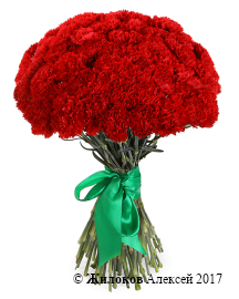 ����� 51 ��������