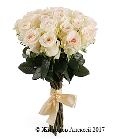 ����� 21 ���� ���������