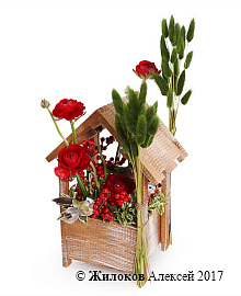 ���������� ������ ���� � �����