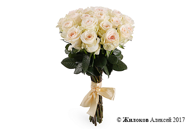 ����� 21 ���� ���������