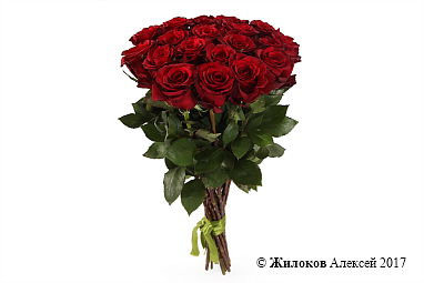 ����� 19 ��� ��� �����