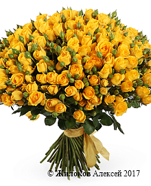 ����� 51 �������� ���� ������