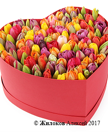 ���������� �������� ����������� � ������� ������� ������ (�����), ����