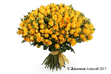 ����� 51 �������� ���� ������