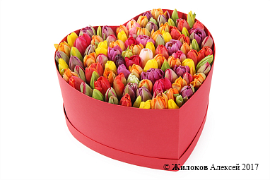 ���������� �������� ����������� � ������� ������� ������ (�����), ����