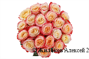 Букет 21 роза Кабаре