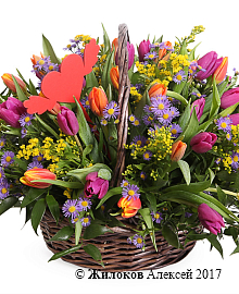 ����� ��������� ������ � �������