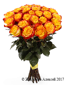 ����� 25 ��� ��� �����