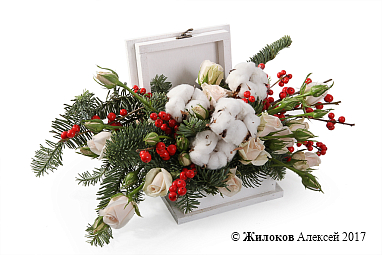 ���������� ������ �������� � �����