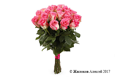 ����� 21 ���� ������