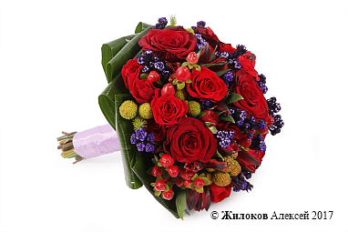 ����� ������� ������