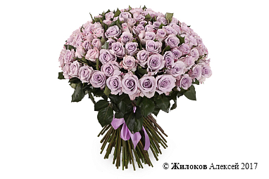 ����� ����� ������ (151 ����)