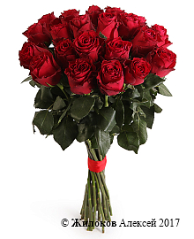 ����� 21 ���� �����