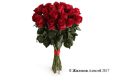 ����� 21 ���� �����