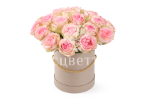 ����� 25 ��� �������� � ������� �������