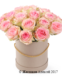 ����� 25 ��� �������� � ������� �������