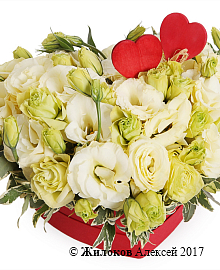 ����� �� ������� ����������� ������� � ������� ������� ������