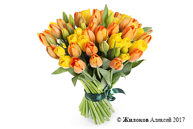 ����� 51 �������, ���������� ����