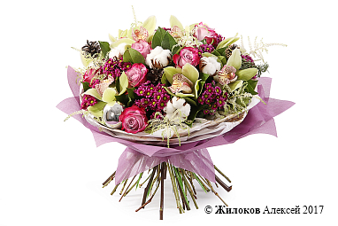 ����� ���������