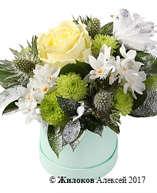 ����� ������ �������� ���� � ������� �������