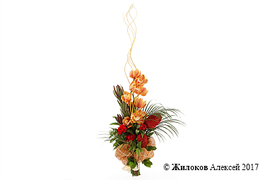 ����� ������ ������