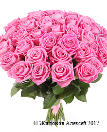 ����� 41 ���� ����