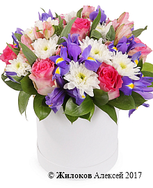 ����� ������� �������� � ������� �������